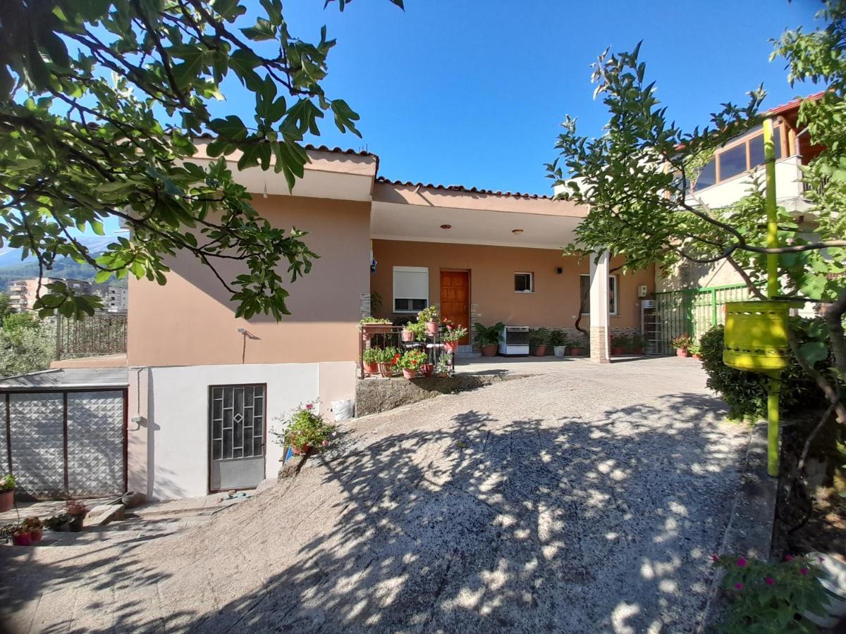 Accommodatie bij particulieren Honey-house “kastrioti” *