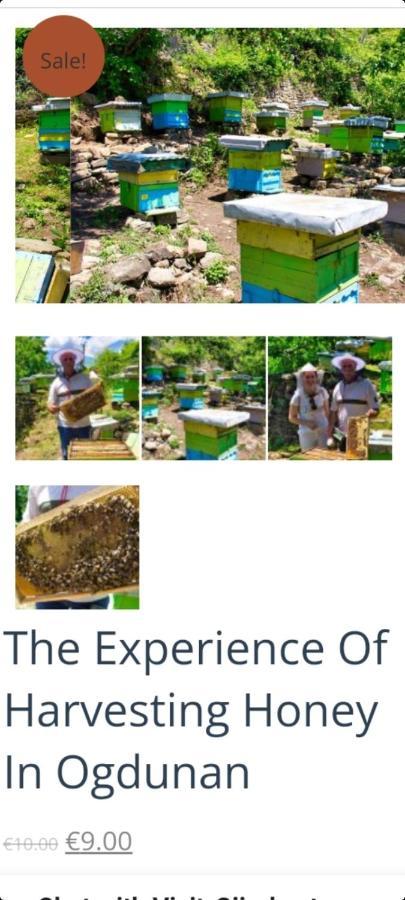 Séjour chez l'habitant Honey-house “kastrioti” Përmet