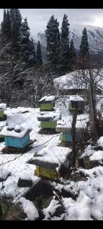 Honey-house “kastrioti” Séjour chez l'habitant Përmet