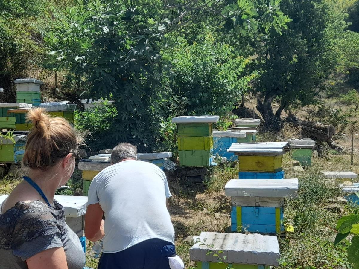 Séjour chez l'habitant Honey-house “kastrioti” Përmet