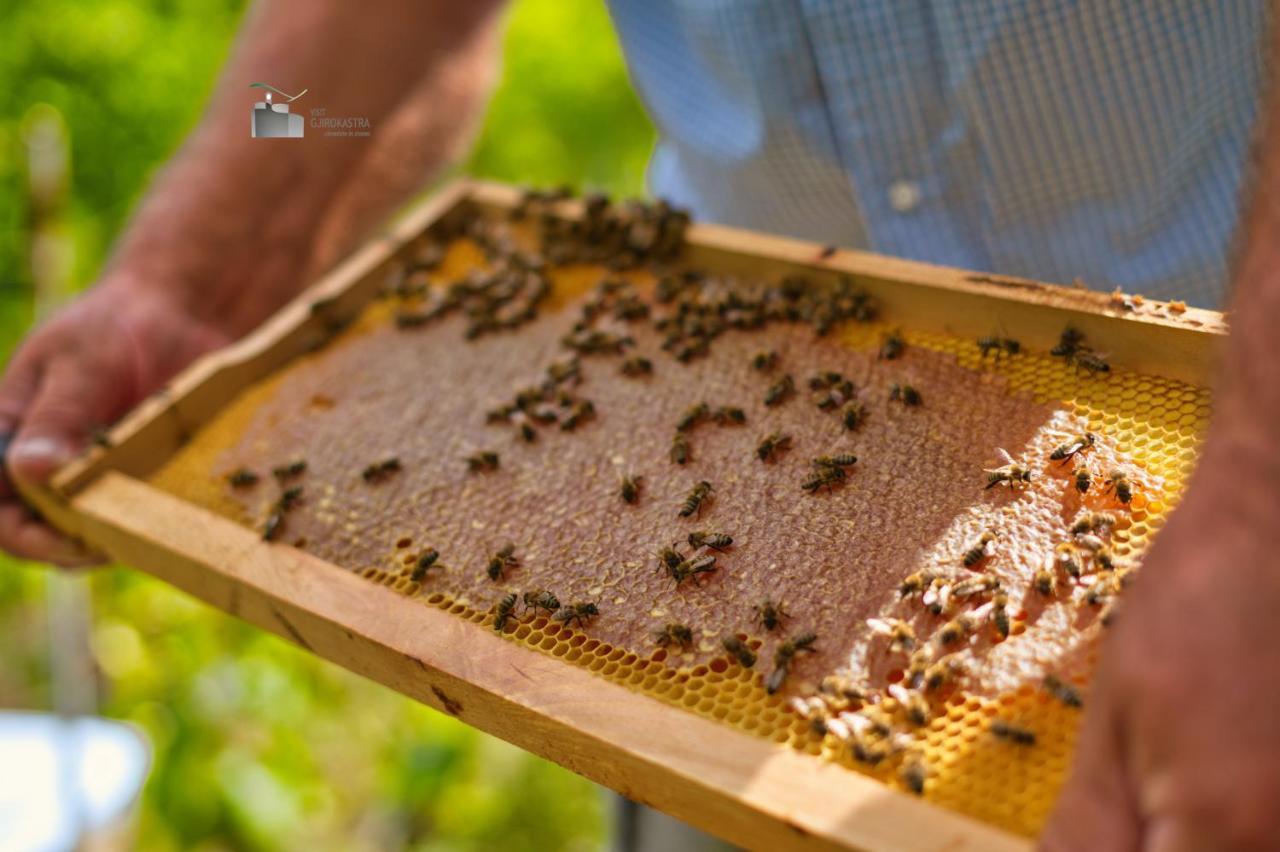 Honey-house “kastrioti”