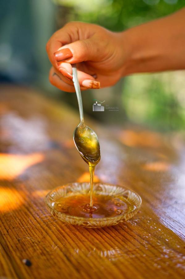 Honey-house “kastrioti” * Përmet