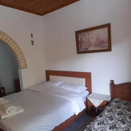 Appartement Honey-House “Kastrioti” à Përmet Extérieur photo