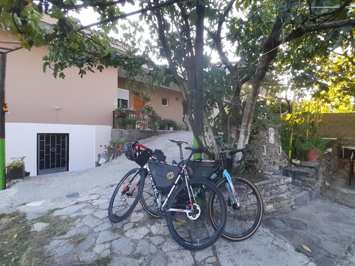 Homestay Honey-house “kastrioti” *