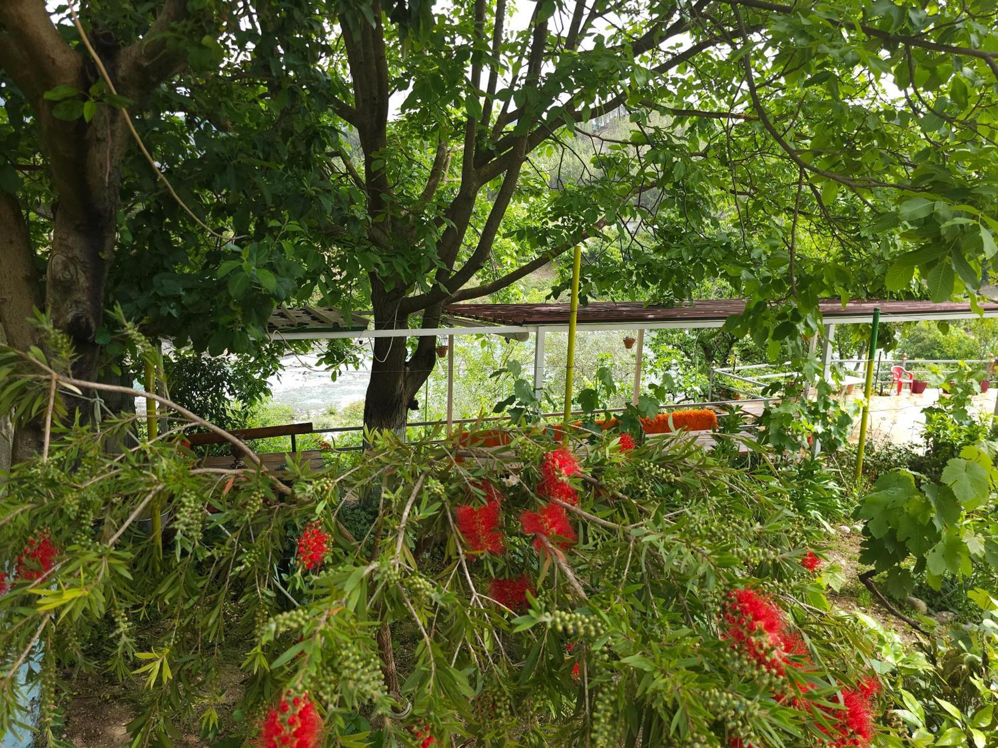 Honey-house “kastrioti” Alloggio in famiglia